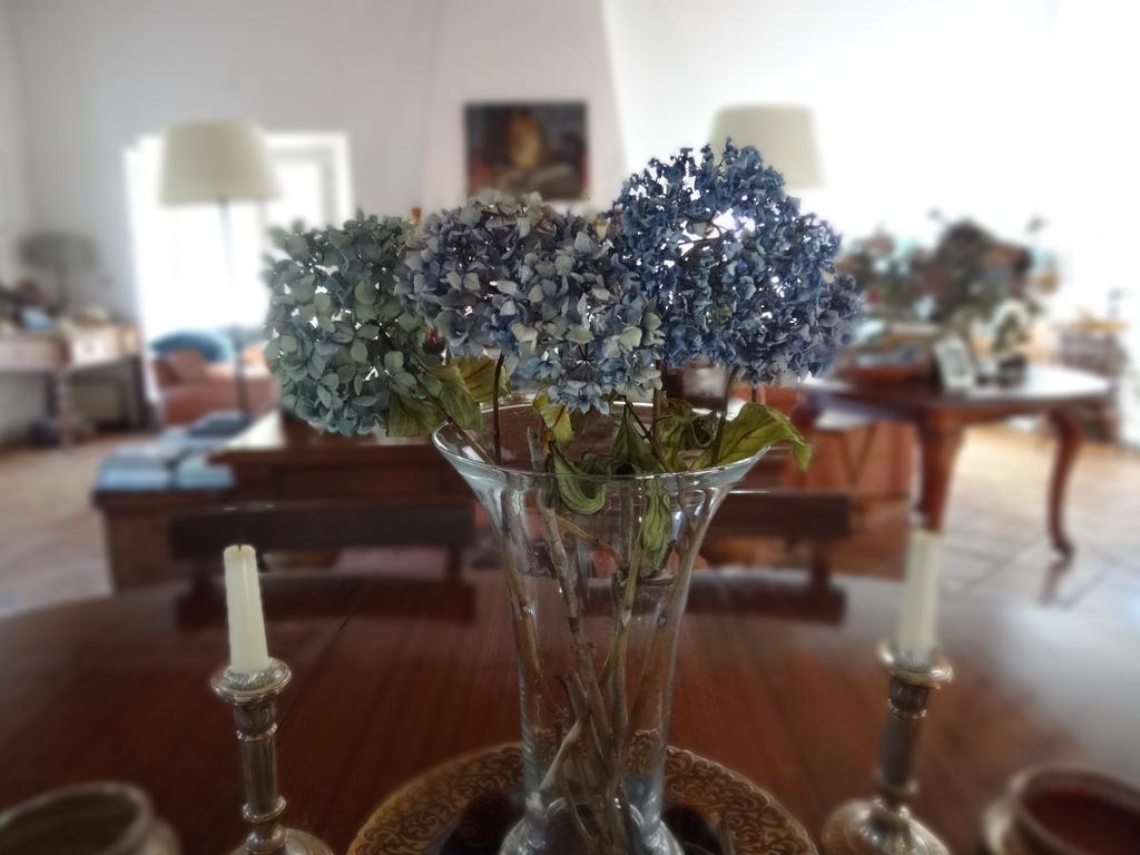 Monte Dos Papa Figos 호텔 São Teotónio 외부 사진